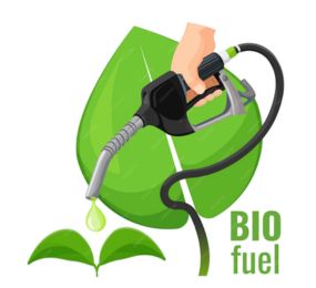 Financing and Investment for Biofuels